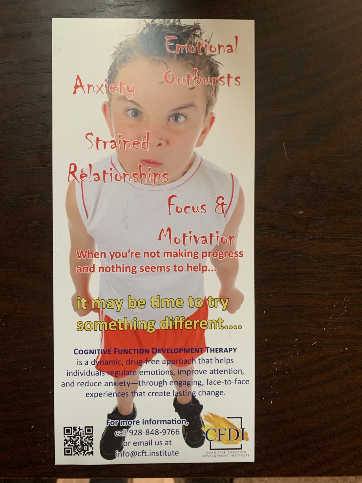 CFDI brochure about emotional regulation, attention, and relationships for children